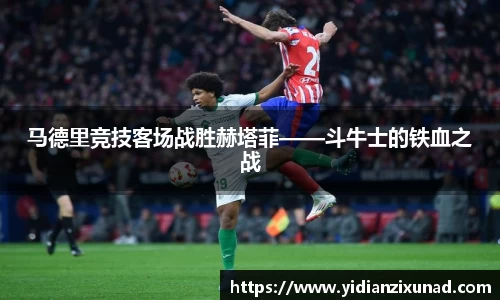 南宫28