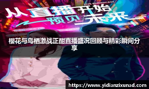 南宫NG28